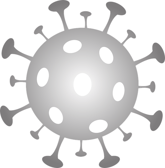 Image par wrenchj de Pixabay